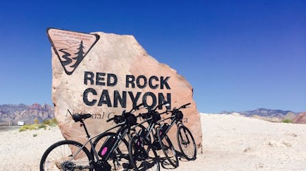 Самонаводящиеся e-велосипед тур в каньон красных скал
